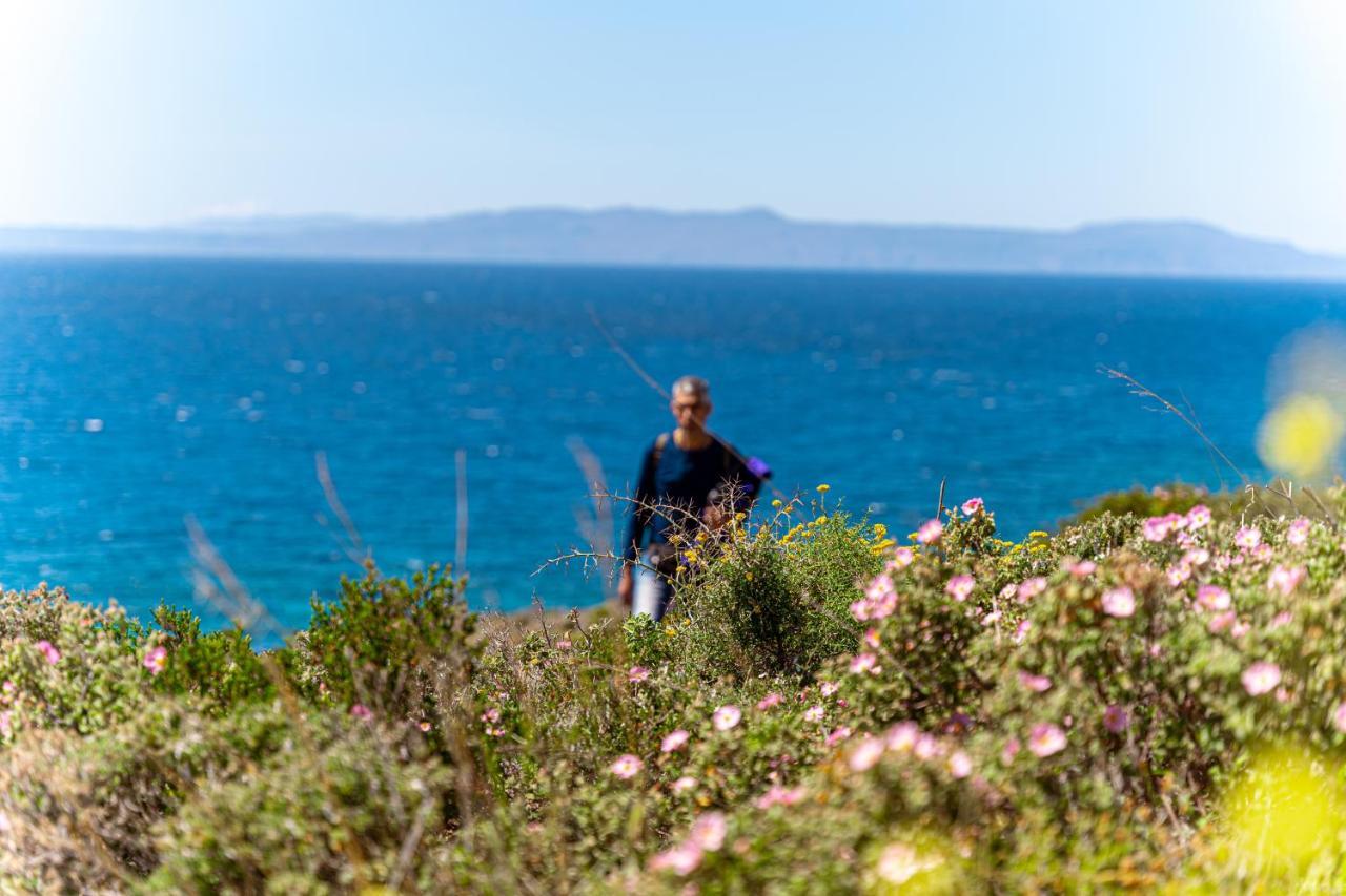 Cretan Life Holidays Otel Chorafakia Dış mekan fotoğraf